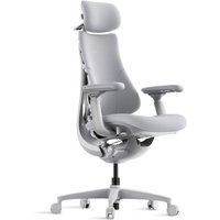 Libernovo Omni Dynamic Ergonomic Chair Space Grey 48cm 1pcs
