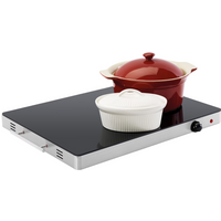 Fritel Warmhoudplaat WT 2478 XXL - Grote Voedselverwarmer/Warmhoudplaat - 54 x 41 cm - 4,2 kg + 400 W