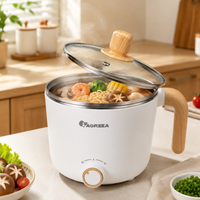 IAGREEA 1.0L Mini Electric Cooking Pot, Multifunctional Hot Pot & Noodle Cooker with Stainless Steel Inner Pot, 300W/600W Dual Power Control, Compact Cooker for Soup, Rice, Pasta, Boiling & Daily Meals MS-AFX004