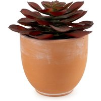 Candlelight Artificial Brown Echeveria Succulent in Terracotta Effect Pot 13cm