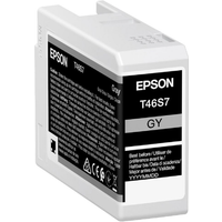 Epson UltraChrome Pro inktcartridge 1 stuk origineel grijs