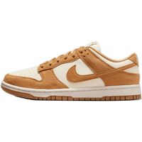 Nike Dames Dunk Low HJ7673-100 Maat 40
