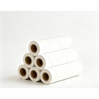 JORDAN&JUDY Large 16cm Tearable Sticky Dust Removal Paper, For Use With Lint Roller , 360 Sheets (Sticky Paper*6 Rolls)