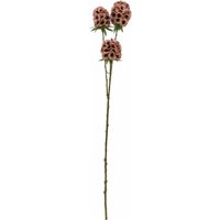 Candlelight Artificial Scabiosa Stellata Flower Stem Pink 61cm