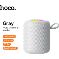 HC30 Oceano BT Speaker - Gray