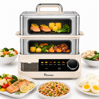 IAGREEA 14L Electric Food Steamer, 2000W Dual-Tier Cooker with Panoramic Viewing Windows, 2 Stainless Steel Trays, 2.5L External Water Tank, 6 Presets and Timer MS-22ZG21-Q