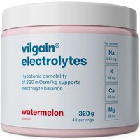 Vilgain Electrolytes Hydration Support Powder Watermelon Flavour - 320g
