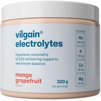 Vilgain Electrolytes Hydration Support Powder Mango & Grapefruit Flavour - 320g