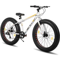HILAND, Roon, Mountain Bike Fat Tire Men Women MTB with Shimano 7 Speed Dual Disc Brake, Bicycle for Adults & Children, Silver, 26 inch