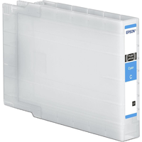 Epson C13T04B24N inktcartridge, cyaan, origineel, hoge (XL) capaciteit, 1 stuk