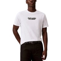 Calvin Klein Men's Ss 20S Washed Spine Graphic Tee - Bright White
