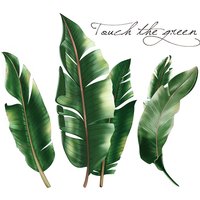 Green Tropical Assorted Leaves Decals Removable PVC Wall Stickers - Living Room Bedroom Office Home Decorations,Curly leaves