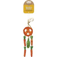 Rosewood Carrot Dream Catcher Toy for Small Animals