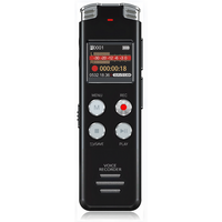 Rexsun 128 GB draagbare digitale spraakrecorder met lcd-scherm, intelligente ruisonderdrukking, ABS-aluminiumlegering in grijs, L357