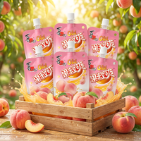 Strong Fruitdrank - Perzik 258 g * 6