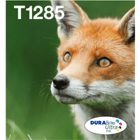 Epson Fox multipack 4 kleuren T128 EasyMail