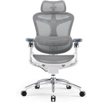 SIHOO Doro C300 Pro Ergonomic Office Chair with Ultra-Soft 6D Armrests, Dynamic Lumbar Support, Seat Depth Adjustment and Adjustable Backrest Desk Chair for Home Office (White)