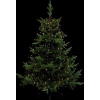 Feeric Technotrend Koperdraad Licht - 232 LEDs, 2,2 m, Warm Wit, Buiten