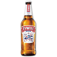 ZYWIEC FLES Bier 50 cl