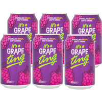TING Soda Raisin 330 ml x 6