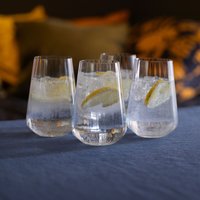 Dartington Crystal Cheers! Optic Tall Tumbler, Set of 4
