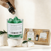 Zooly Kristallen Geurdiffuser Cadeauset - Betoverd Bos Fantoom (Groene Kristal), 380g, 1 set