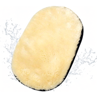 Autowashhandschoen, autowasspons, reinigingshandschoen, 1 stuks, eenzijdige autowashhandschoen, pluizige autoreinigingsdoek, berenpoot vormige reinigingsspons, autowasaccessoires verpakt in OPP-zak