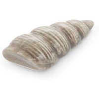 Decorazione conchiglia grigia in ceramica