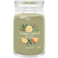 Sage e Citrus, candela giara grande Yankee Candle