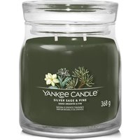 Silver Sage Pine, candela giara media Yankee Candle
