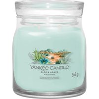 Aloe & Agave, candela giara media Yankee Candle
