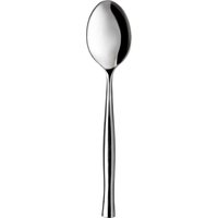 Cucchiaio Shiny in acciaio inox