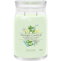 Cucumber Mint Cooler, candela in giara grande Yankee Candle