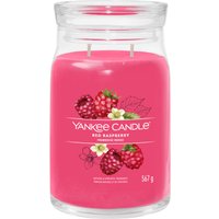 Red Raspberry, candela in giara grande Yankee Candle