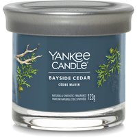 Candela Bayside Cedar in barattolo medio Yankee Candle