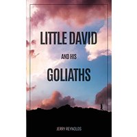 LITTLE DAVID AND GOLIATHS - LITTLE DAVID AND GOLIATHS - jetzt bei oelder-buchhandlung.de kaufen