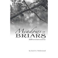 Meadows or Briars: GOD in the Midst of Our Pain - Meadows or Briars: GOD in the Midst of Our Pain - jetzt bei oelder-buchhandlung.de kaufen