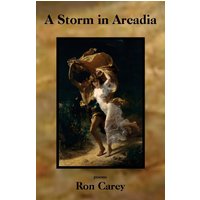 A Storm in Arcadia - A Storm in Arcadia - jetzt bei oelder-buchhandlung.de kaufen