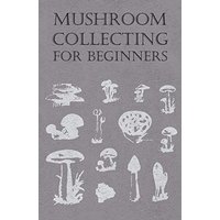 Mushroom Collecting for Beginners