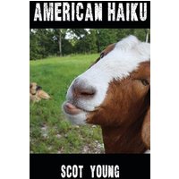 American Haiku - American Haiku - jetzt bei oelder-buchhandlung.de kaufen
