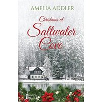 Christmas at Saltwater Cove: a Westcott Bay novella - Christmas at Saltwater Cove: a Westcott Bay novella - jetzt bei oelder-buchhandlung.de kaufen