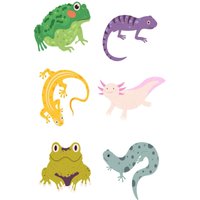 Self-awareness & Gratitude Journal for Children (Reptiles): With Prompts to Encourage Self Reflection, Gratitude and a Positive, Solution Oriented Attitude. Picture & Story Format. - Self-awareness & Gratitude Journal for Children (Reptiles): With Prompts to Encourage Self Reflection, Gratitude and a Positive, Solution Oriented Attitude. Picture & Story Format. - jetzt bei oelder-buchhandlung.de kaufen