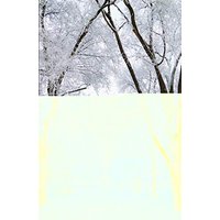 Christmas Journey: Advent Readings and Reflections from the Nativity Stories - Christmas Journey: Advent Readings and Reflections from the Nativity Stories - jetzt bei oelder-buchhandlung.de kaufen