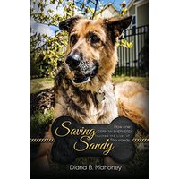 Saving Sandy - Saving Sandy - jetzt bei oelder-buchhandlung.de kaufen