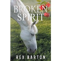 Broken Spirit - Broken Spirit - jetzt bei oelder-buchhandlung.de kaufen