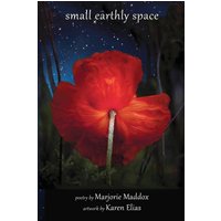 Small Earthly Space - Small Earthly Space - jetzt bei oelder-buchhandlung.de kaufen