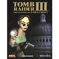 Application Systems Heidelberg Tomb Raider 3