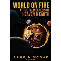 World on Fire at the Palingenesis of Heaven & Earth - World on Fire at the Palingenesis of Heaven & Earth - jetzt bei oelder-buchhandlung.de kaufen