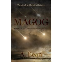 MAGOG: An End Times Thriller (Ordained Catastrophe, Band 1) - MAGOG: An End Times Thriller (Ordained Catastrophe, Band 1) - jetzt bei oelder-buchhandlung.de kaufen