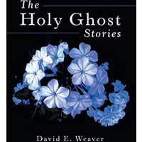 The Holy Ghost Stories - The Holy Ghost Stories - jetzt bei oelder-buchhandlung.de kaufen